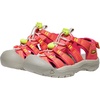 image:imageKEEN Kids Newport Boundless Sandals ToddlerLittle KidDubarryEvening Primrose