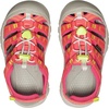 image:imageKEEN Kids Newport Boundless Sandals ToddlerLittle KidDubarryEvening Primrose