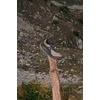 image:imageKEEN RoamDark OliveGolden Cypress