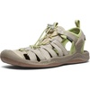 Plaza Taupe/Tarragon