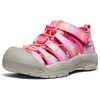 Hot Pink/Orchid Petal