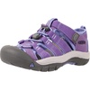 Purple Heart/Periwinkle