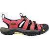 Fuschia/Yellow